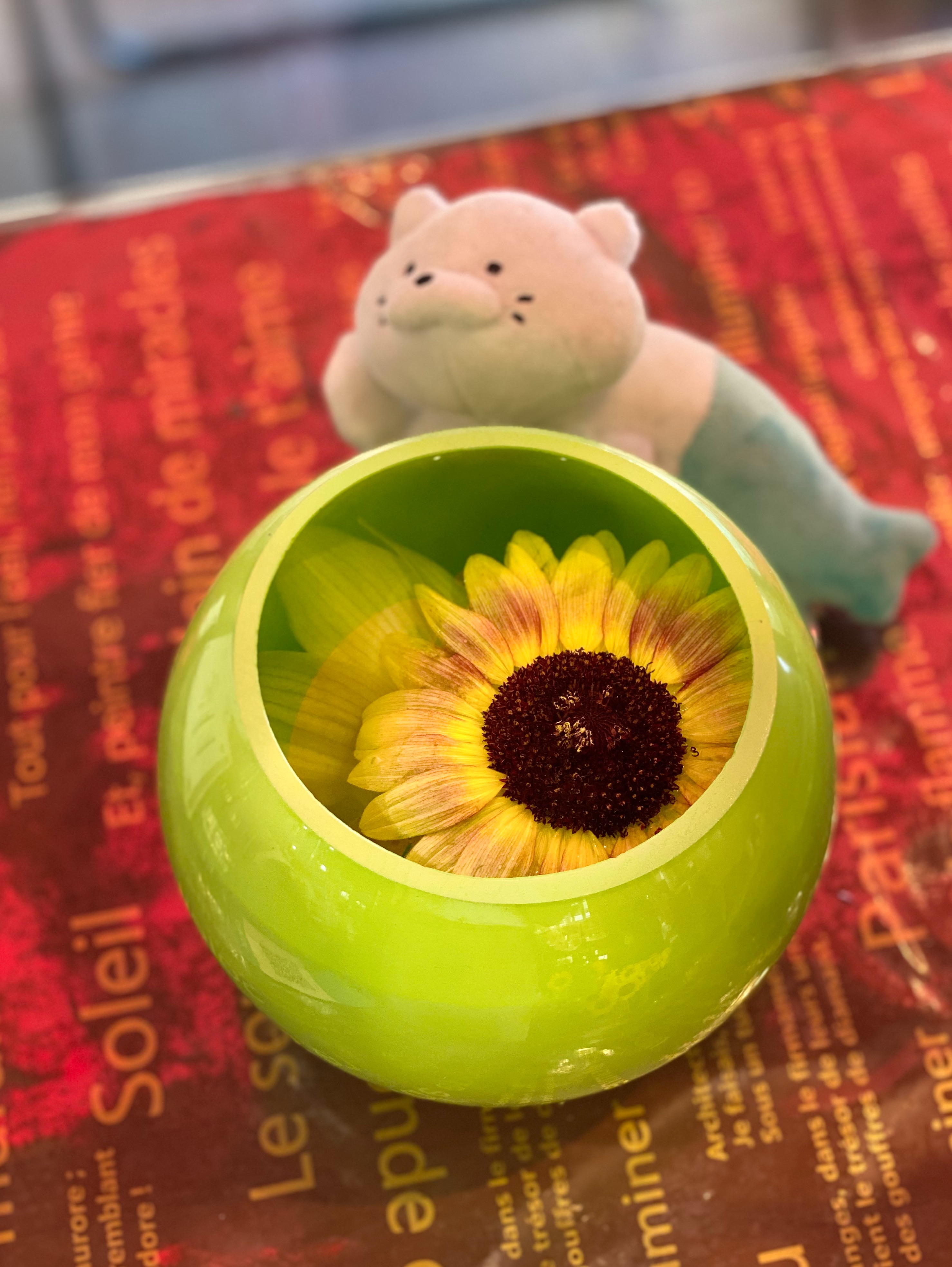 🌻❗️夏のひまわり祭り❗️🌻 | 花ユキ | ショップブログ | 大丸福岡 